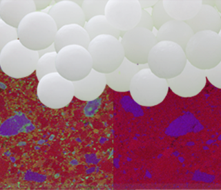 Image_CaracterisationgranuleHomeopathieTOF.png