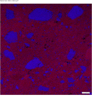 Figure1-(1).png