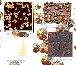 Image_TailleDistributionennanoparticulesAFMvf.png