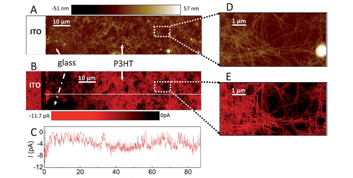 Figure1-(4).png