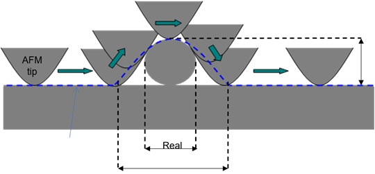 Image1.png